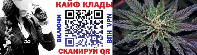 Сколько стоит Курчалой Галлюциногенные грибы Альфа ПВП ГАШИШ Мефедрон Бошки Шишки