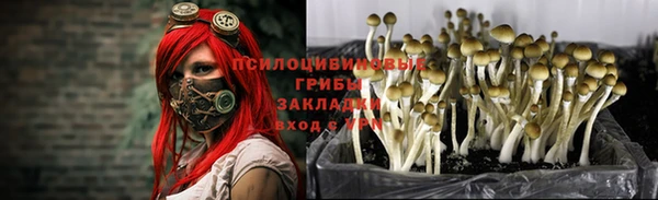 ешки Кулебаки
