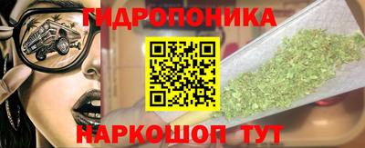 spice Кимры