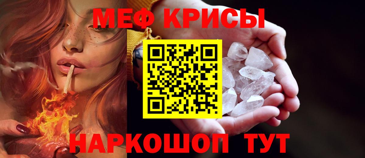 Курчалой  МЯУ-МЯУ  Вход с VPN  МЯУ-МЯУ мяу мяу 