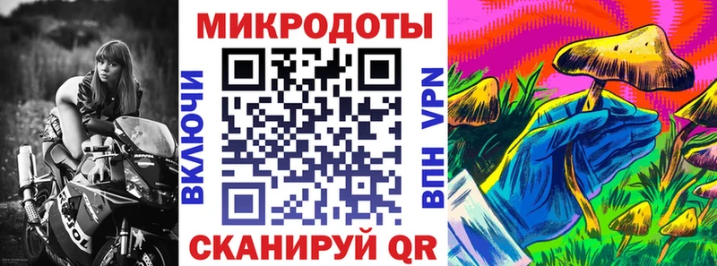 купить   Курчалой  Псилоцибиновые грибы мицелий 