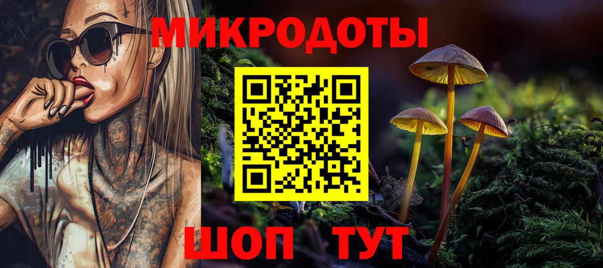 Псилоцибиновые грибы Psilocybe  Вход с VPN  Галлюциногенные грибы ЛСД  Курчалой 
