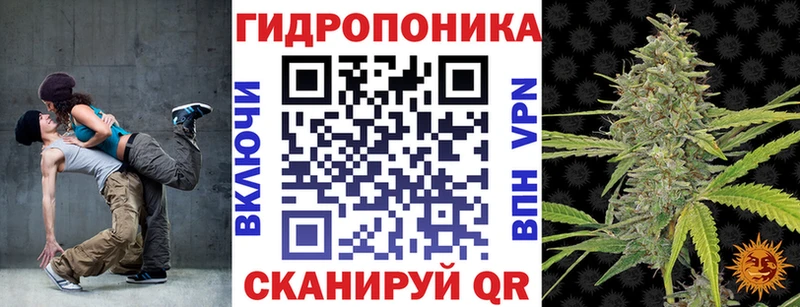Марихуана White Widow  hydra вход  дарк нет телеграм  Курчалой 
