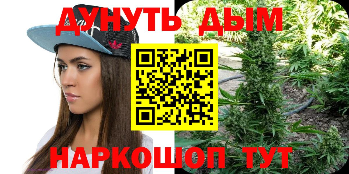 Бошки марихуана Ganja Курчалой